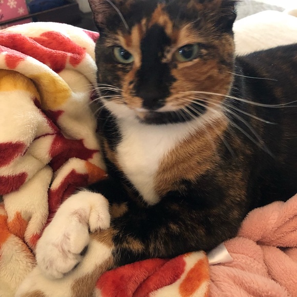 Meet your Posher, Debra - Picture 3 of 3